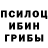Псилоцибиновые грибы мицелий Kate Shtenbr