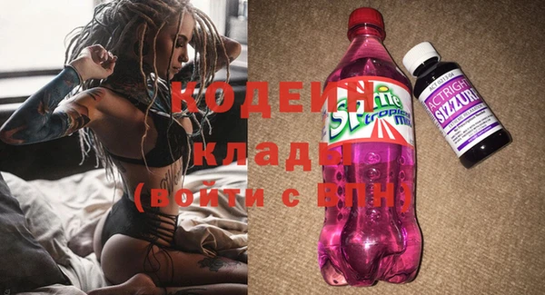 ECSTASY Богданович