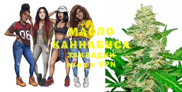 МДПВ Бородино