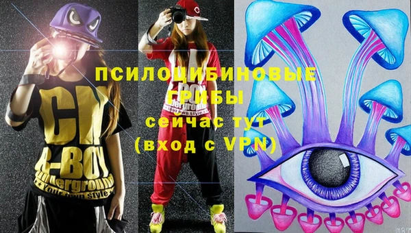 сатива Бугульма