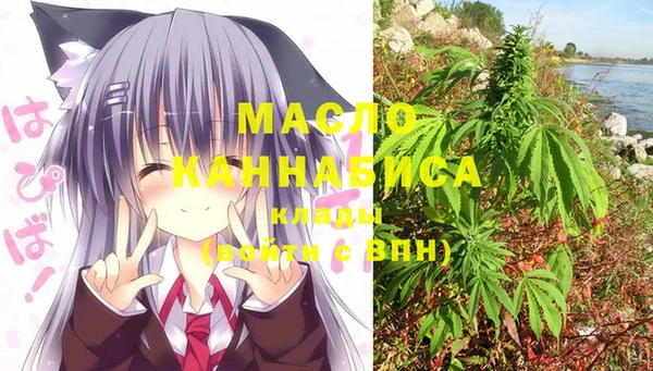 МДПВ Бородино