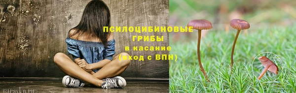 сатива Россошь