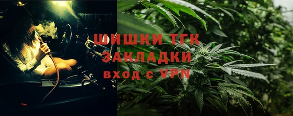 ECSTASY Богданович