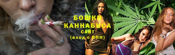 сатива Россошь